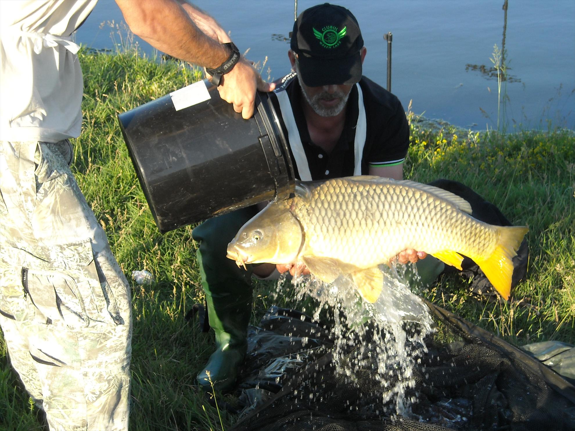 CN-2010-Chiroiu - dscn45021.jpg